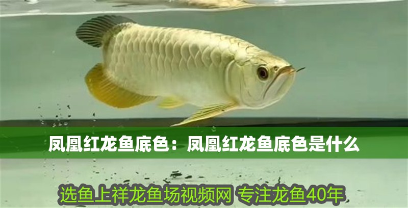 森森魚缸照明燈光控制（森森魚缸照明燈光控制關不上）