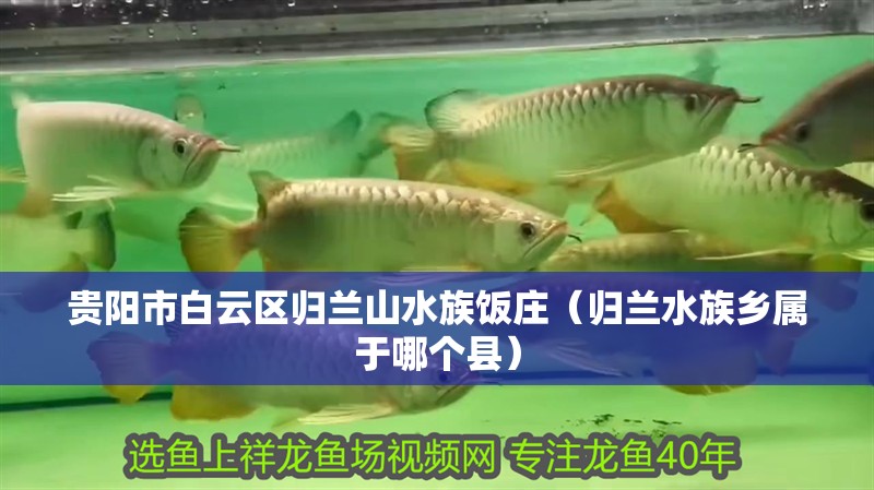 貴陽市白云區歸蘭山水族飯莊（歸蘭水族鄉屬于哪個縣）