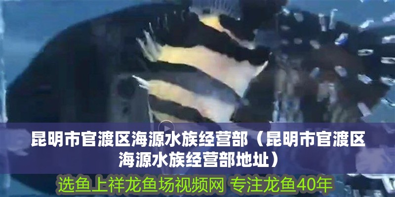 昆明市官渡區(qū)海源水族經(jīng)營(yíng)部（昆明市官渡區(qū)海源水族經(jīng)營(yíng)部地址）