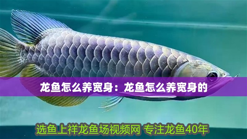 龍魚怎么養寬身：龍魚怎么養寬身的