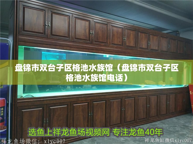 盤錦市雙臺子區格池水族館（盤錦市雙臺子區格池水族館電話）