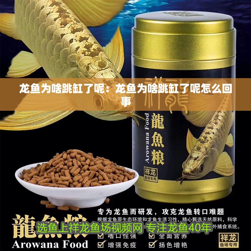 龍魚為啥跳缸了呢：龍魚為啥跳缸了呢怎么回事