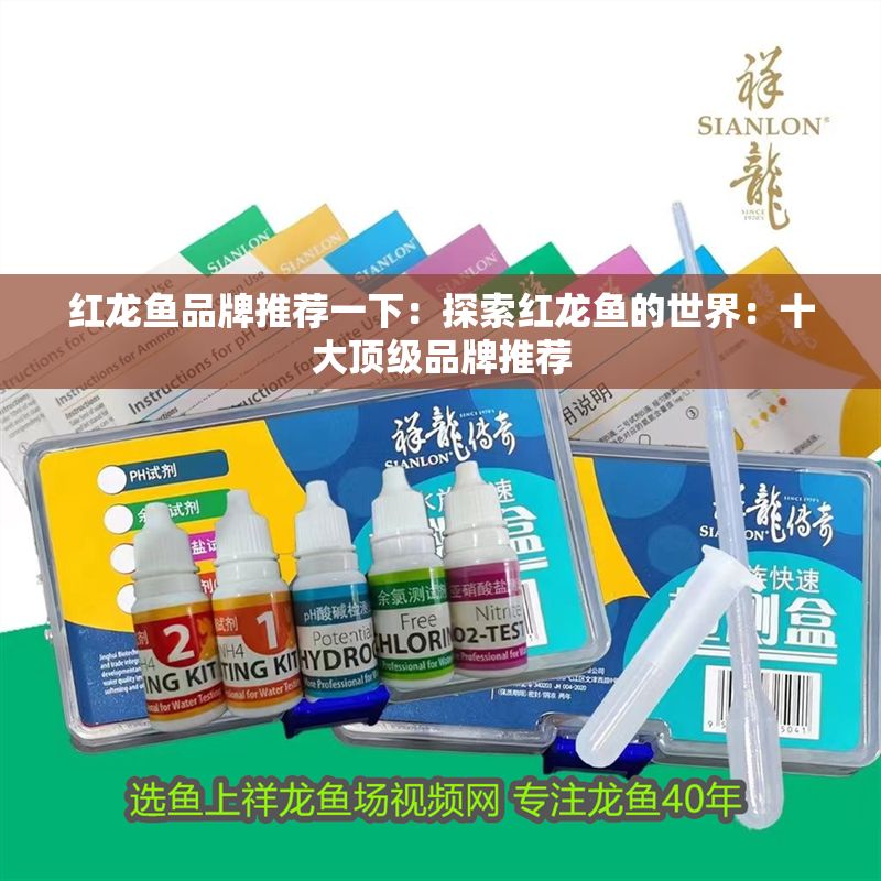 紅龍魚品牌推薦一下：探索紅龍魚的世界：十大頂級品牌推薦