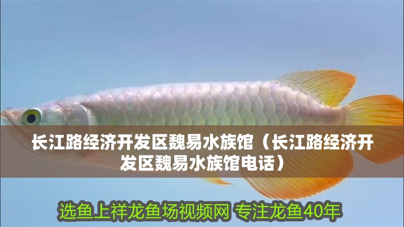 長江路經濟開發區魏易水族館（長江路經濟開發區魏易水族館電話）