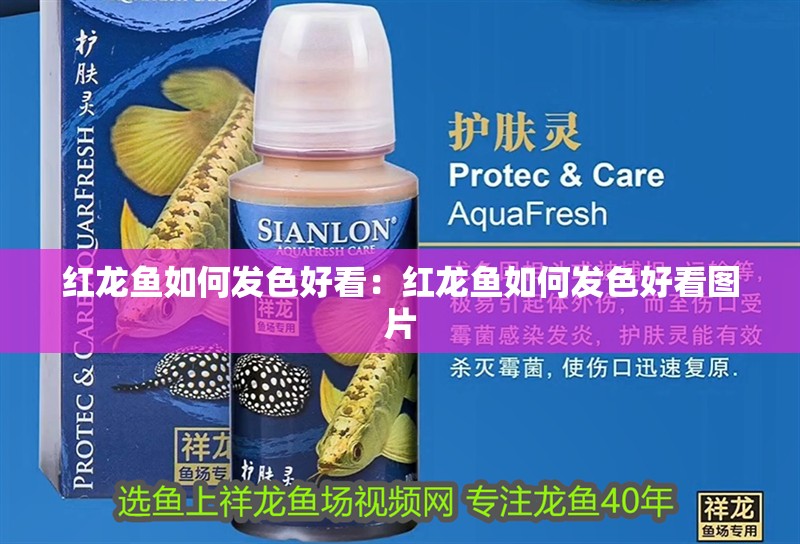 紅龍魚如何發色好看：紅龍魚如何發色好看圖片