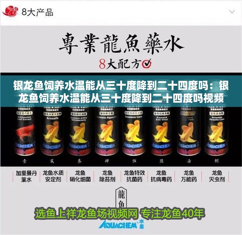 銀龍魚飼養(yǎng)水溫能從三十度降到二十四度嗎：銀龍魚飼養(yǎng)水溫能從三十度降到二十四度嗎視頻