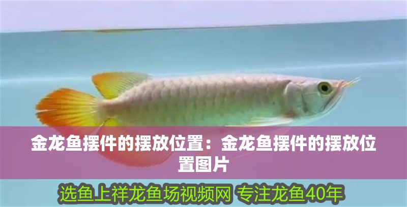 金龍魚擺件的擺放位置：金龍魚擺件的擺放位置圖片