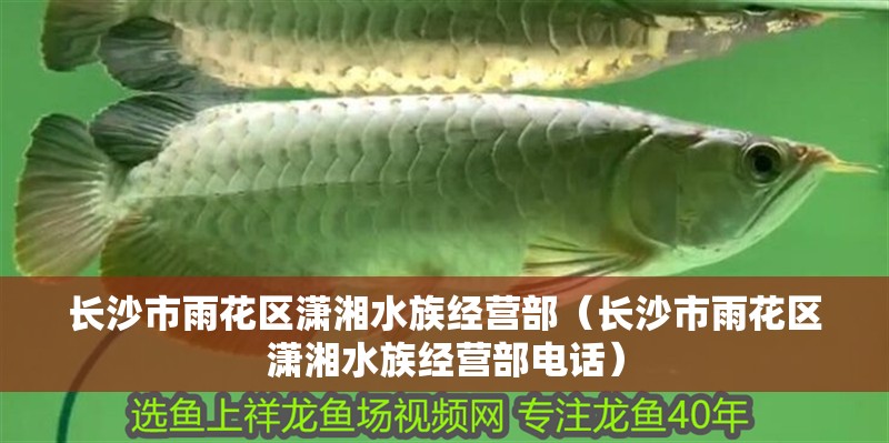 長沙市雨花區瀟湘水族經營部（長沙市雨花區瀟湘水族經營部電話）