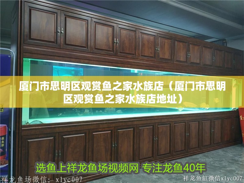 廈門市思明區(qū)觀賞魚之家水族店（廈門市思明區(qū)觀賞魚之家水族店地址） 廈門市思明區(qū)觀賞魚之家水族店（廈門市思明區(qū)觀賞魚之家水族店地址） 全國水族館企業(yè)名錄 第2張