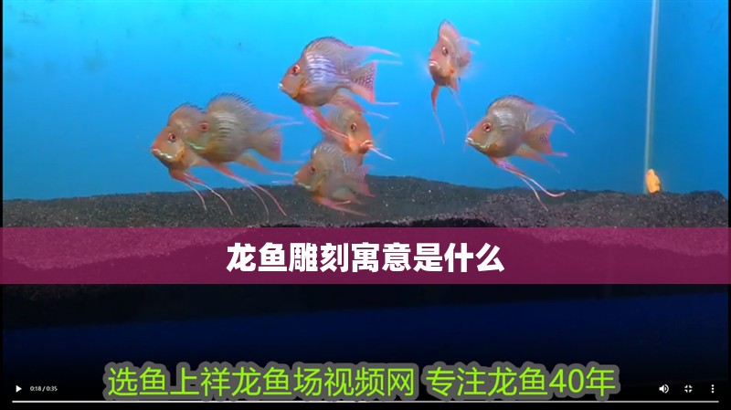 龍魚雕刻寓意是什么 龍魚雕刻寓意是什么 龍魚百科 第2張