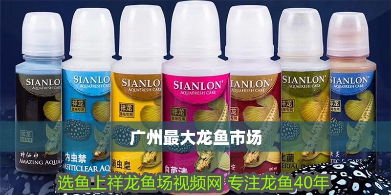 廣州最大龍魚市場(chǎng)
