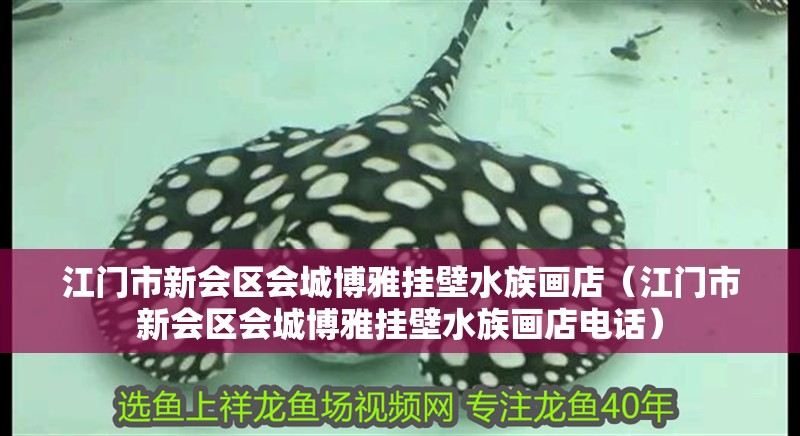 江門市新會區會城博雅掛壁水族畫店（江門市新會區會城博雅掛壁水族畫店電話）