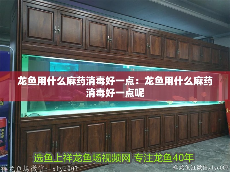 龍魚用什么麻藥消毒好一點：龍魚用什么麻藥消毒好一點呢