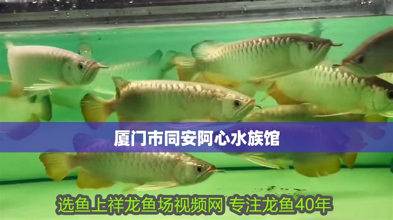 廈門市同安阿心水族館