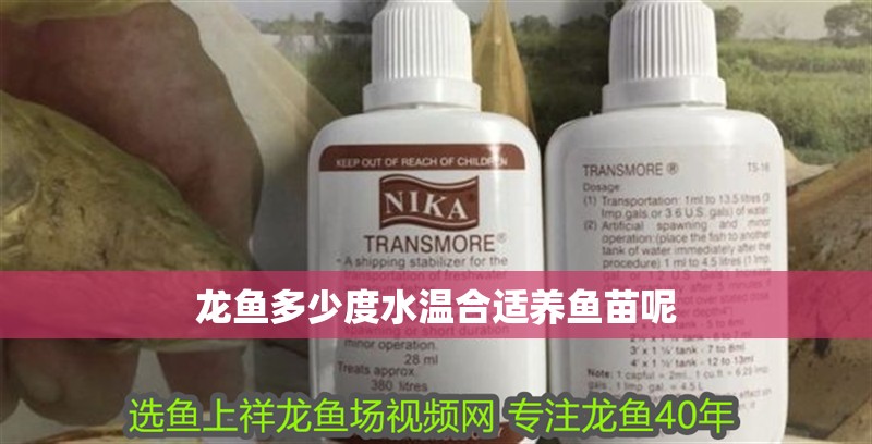 龍魚多少度水溫合適養魚苗呢