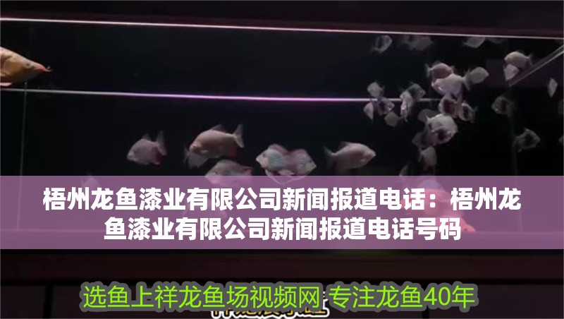 梧州龍魚漆業(yè)有限公司新聞報道電話：梧州龍魚漆業(yè)有限公司新聞報道電話號碼