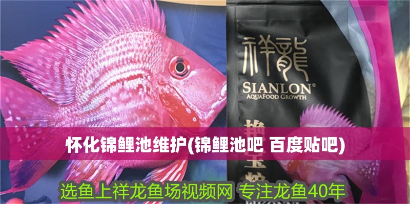 懷化錦鯉池維護(錦鯉池吧 百度貼吧)