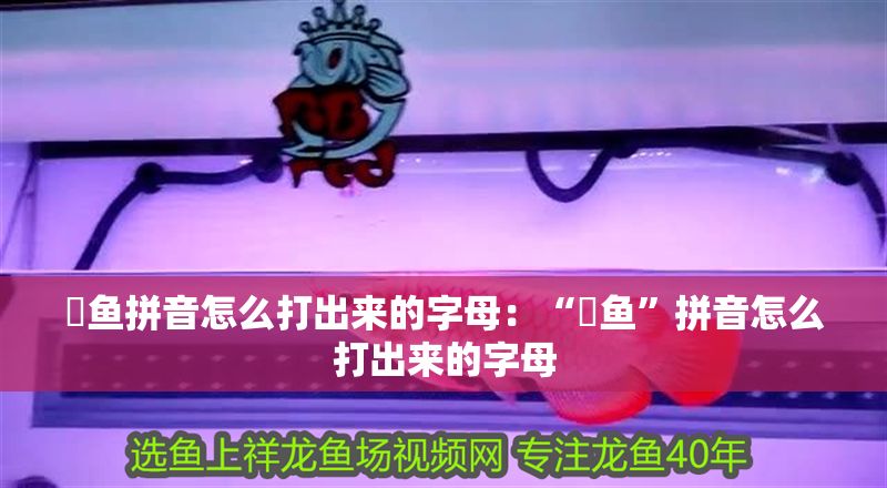 魟魚拼音怎么打出來(lái)的字母：“魟魚”拼音怎么打出來(lái)的字母