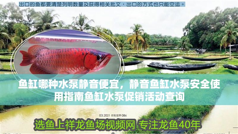 魚缸哪種水泵靜音便宜，靜音魚缸水泵安全使用指南魚缸水泵促銷活動(dòng)查詢