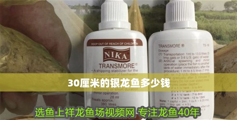 30厘米的銀龍魚多少錢