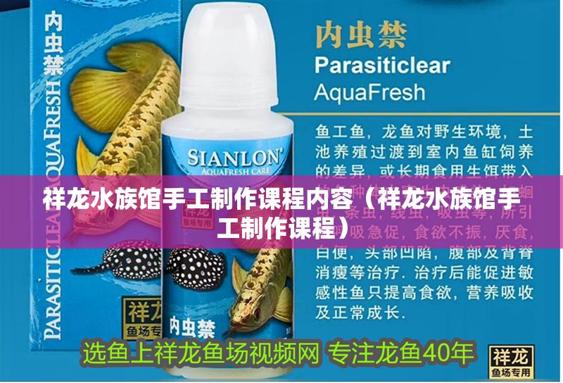 祥龍水族館手工制作課程內(nèi)容（祥龍水族館手工制作課程）