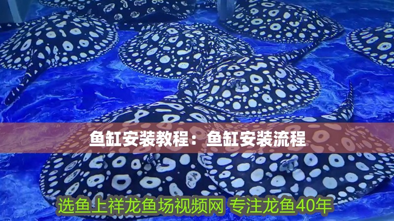 魚缸安裝教程：魚缸安裝流程