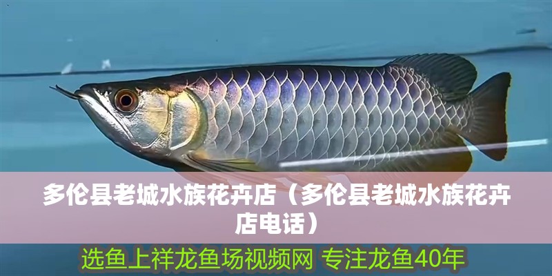 多倫縣老城水族花卉店（多倫縣老城水族花卉店電話）