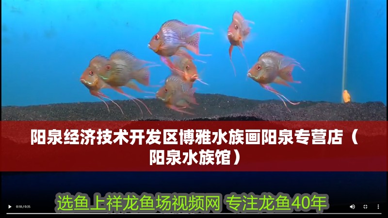 陽泉經(jīng)濟技術開發(fā)區(qū)博雅水族畫陽泉專營店（陽泉水族館）