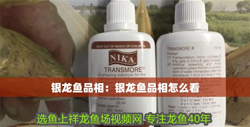 銀龍魚品相：銀龍魚品相怎么看