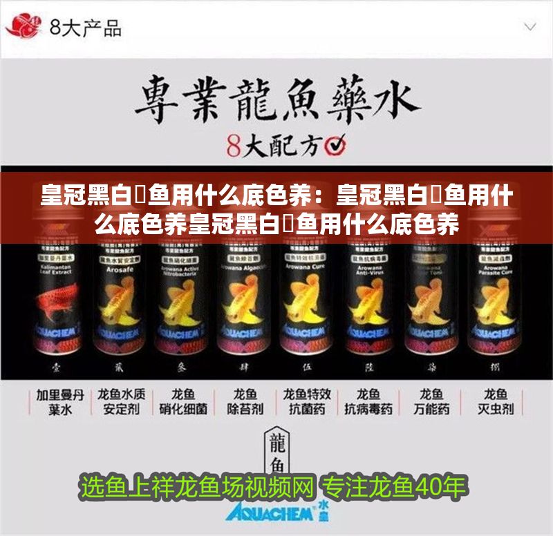 皇冠黑白魟魚用什么底色養：皇冠黑白魟魚用什么底色養皇冠黑白魟魚用什么底色養