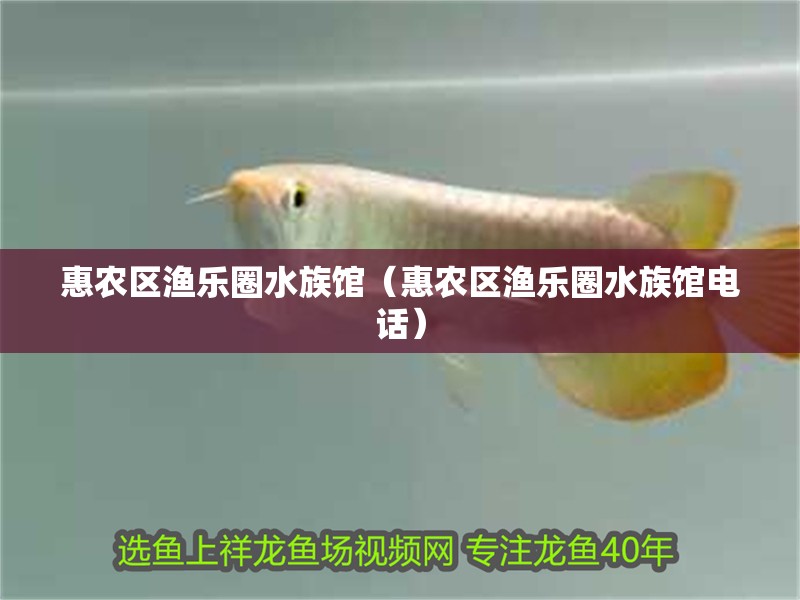 惠農(nóng)區(qū)漁樂(lè)圈水族館（惠農(nóng)區(qū)漁樂(lè)圈水族館電話）