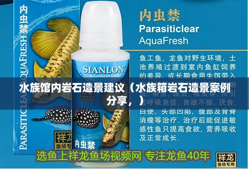 水族館內(nèi)巖石造景建議（水族箱巖石造景案例分享，）