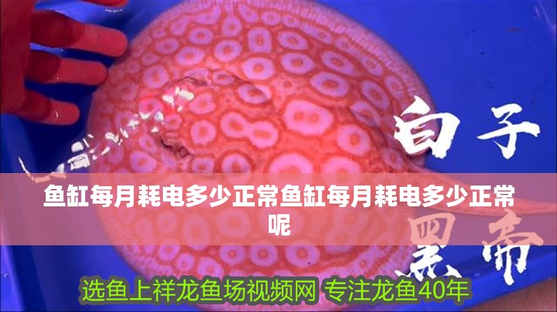 魚缸每月耗電多少正常魚缸每月耗電多少正常呢