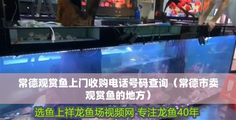 常德觀賞魚上門收購電話號碼查詢（常德市賣觀賞魚的地方）