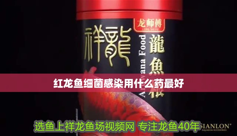 紅龍魚細菌感染用什么藥最好