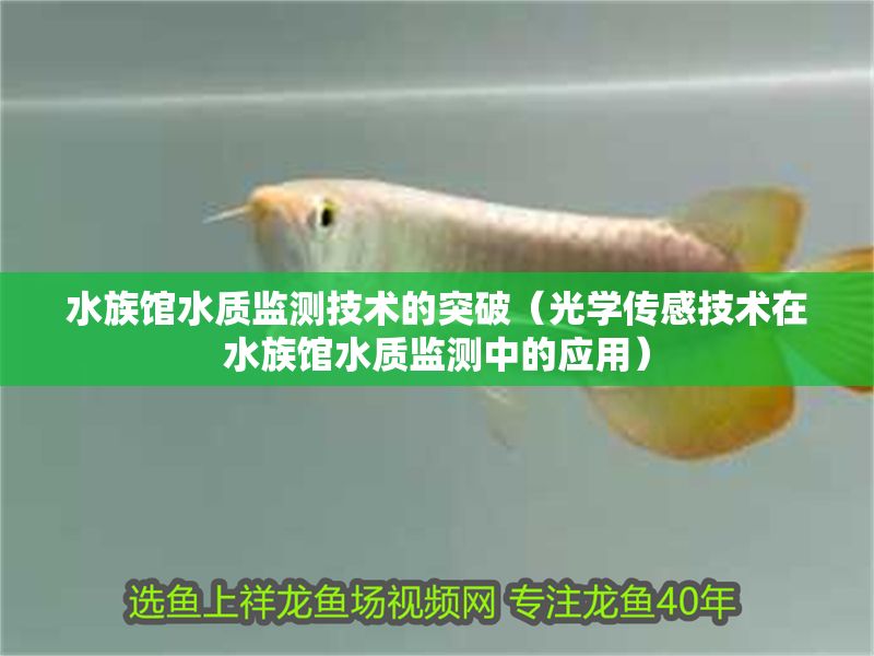 水族館水質(zhì)監(jiān)測技術(shù)的突破（光學(xué)傳感技術(shù)在水族館水質(zhì)監(jiān)測中的應(yīng)用）