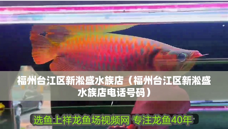 福州臺江區新淞盛水族店（福州臺江區新淞盛水族店電話號碼）