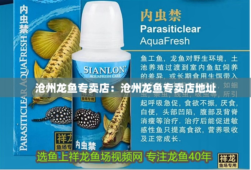 滄州龍魚專賣店：滄州龍魚專賣店地址