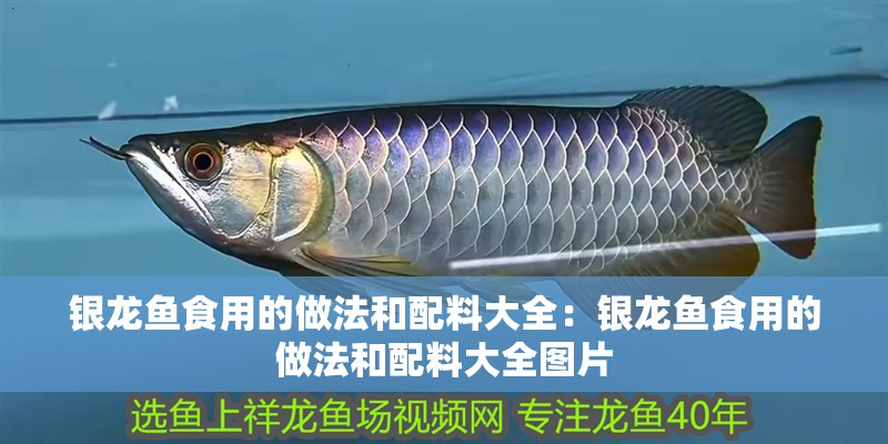 銀龍魚食用的做法和配料大全：銀龍魚食用的做法和配料大全圖片