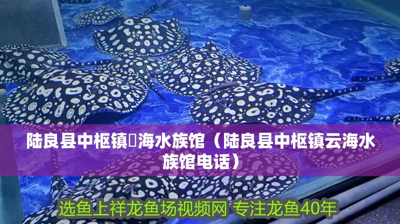 陸良縣中樞鎮雲海水族館（陸良縣中樞鎮云海水族館電話）