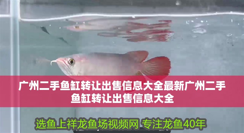 廣州二手魚缸轉讓出售信息大全最新廣州二手魚缸轉讓出售信息大全