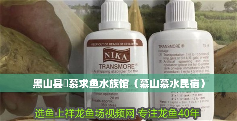黑山縣円慕求魚水族館（慕山慕水民宿）