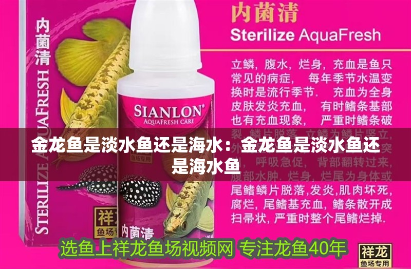金龍魚是淡水魚還是海水：金龍魚是淡水魚還是海水魚