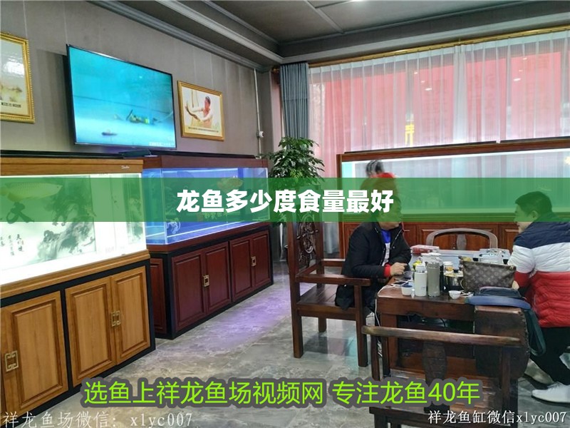 龍魚(yú)多少度食量最好