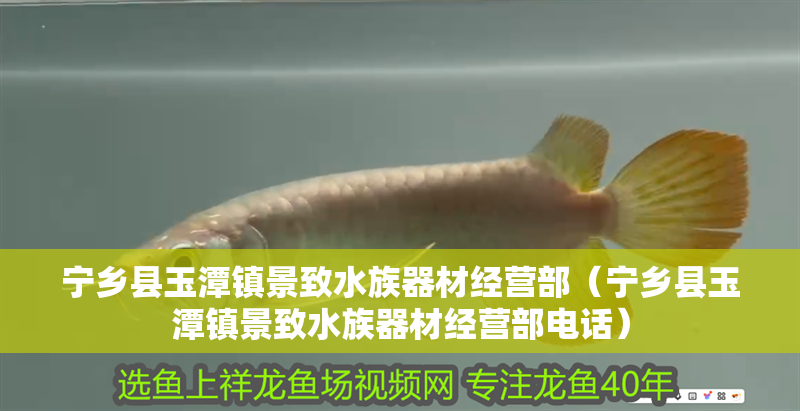 寧鄉(xiāng)縣玉潭鎮(zhèn)景致水族器材經(jīng)營(yíng)部（寧鄉(xiāng)縣玉潭鎮(zhèn)景致水族器材經(jīng)營(yíng)部電話）