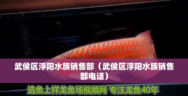 武侯區浮陽水族銷售部（武侯區浮陽水族銷售部電話）
