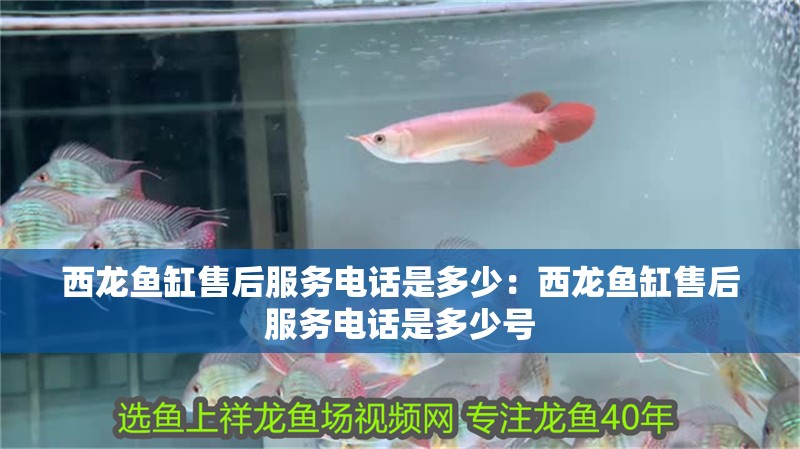西龍魚缸售后服務電話是多少：西龍魚缸售后服務電話是多少號