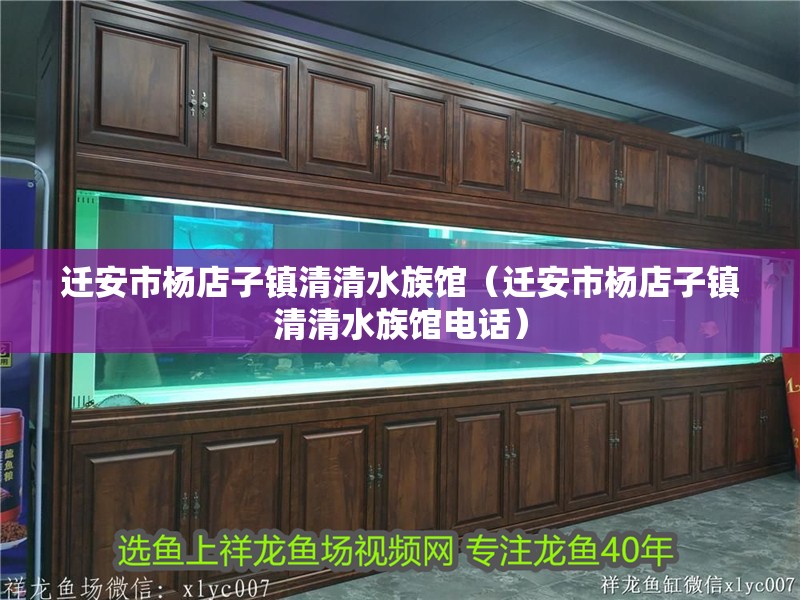 遷安市楊店子鎮清清水族館（遷安市楊店子鎮清清水族館電話）