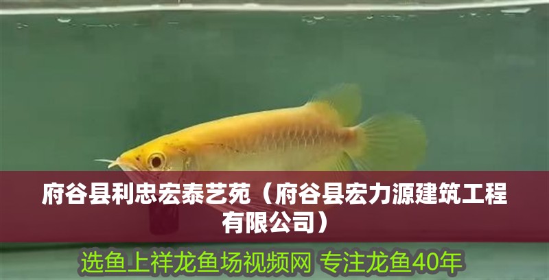 府谷縣利忠宏泰藝苑（府谷縣宏力源建筑工程有限公司）