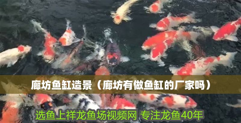 廊坊魚缸造景（廊坊有做魚缸的廠家嗎）